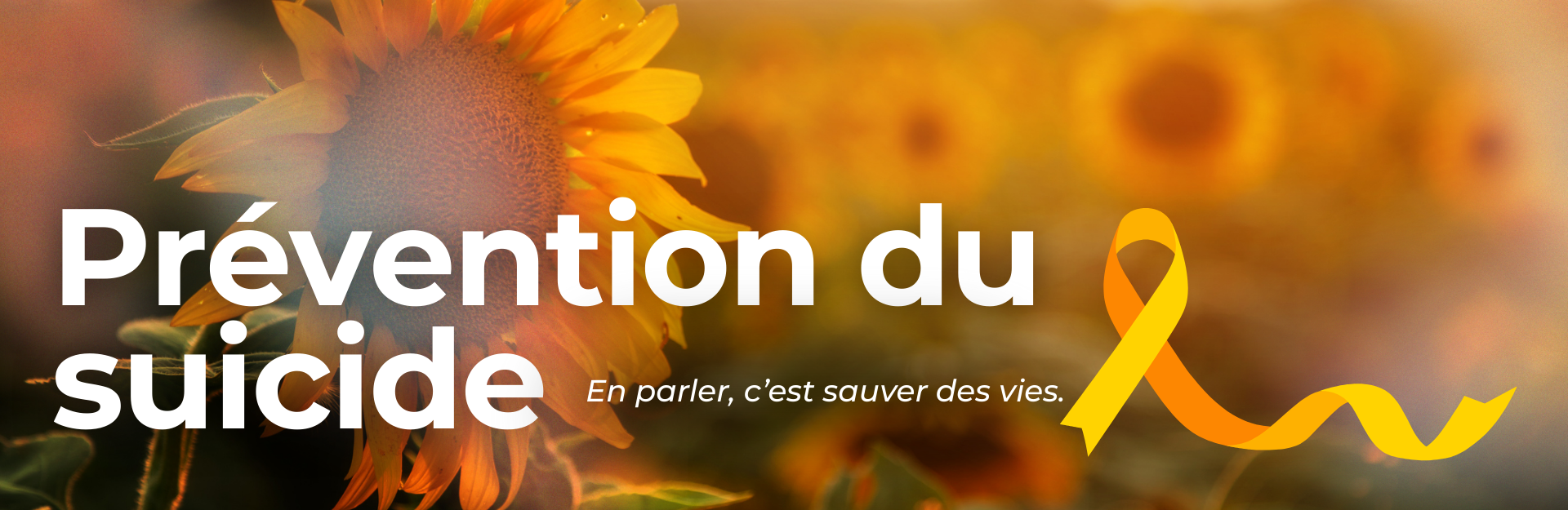 Cellulaire - Prévention du suicide